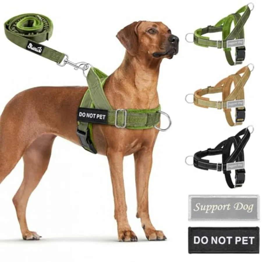 No Pull Dog Harness And Leash Set With Adjustable Soft Padded Vest Front Clip