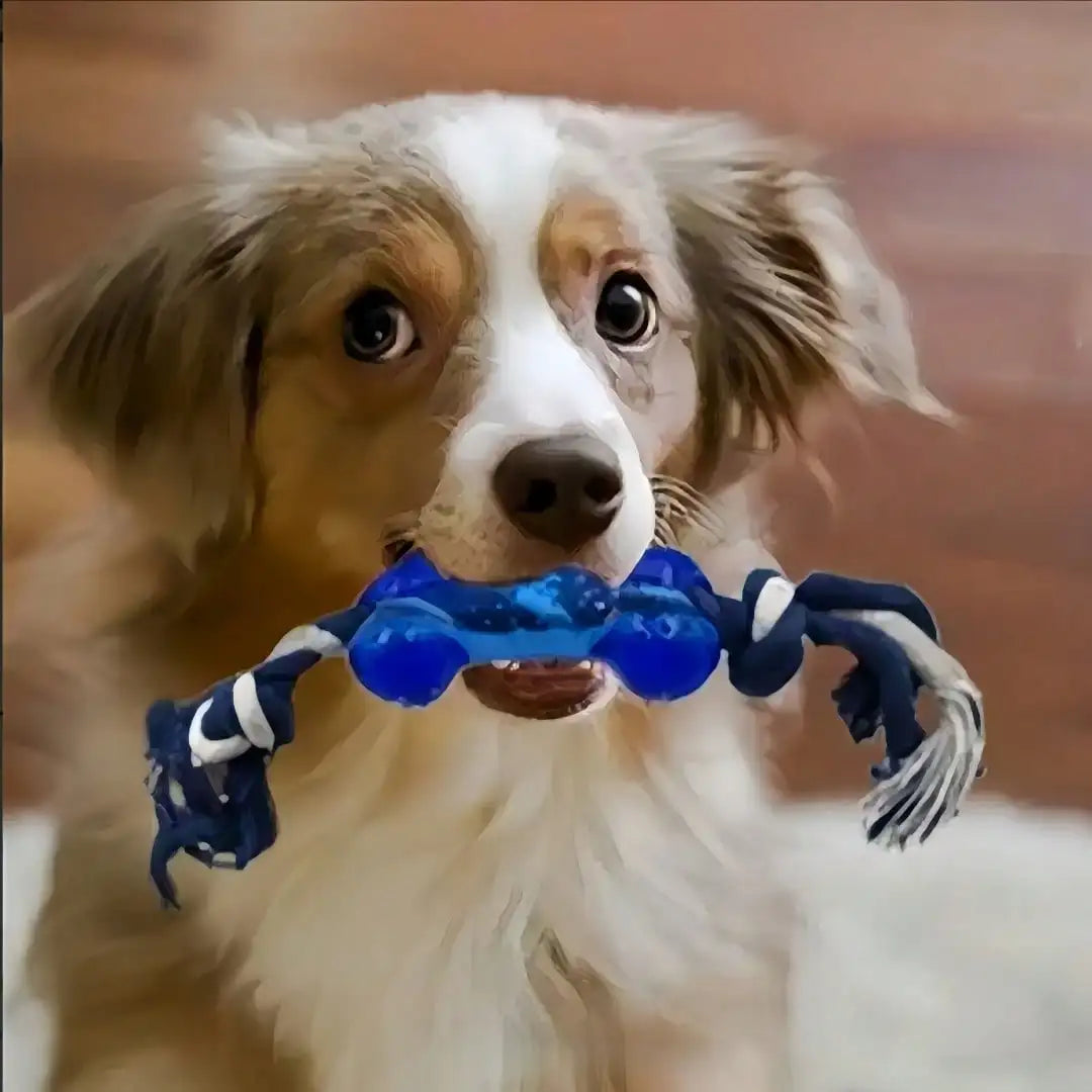 4 Piece Pet Toy Set Durable Dog Toys Ball Rope Puzzle Toys