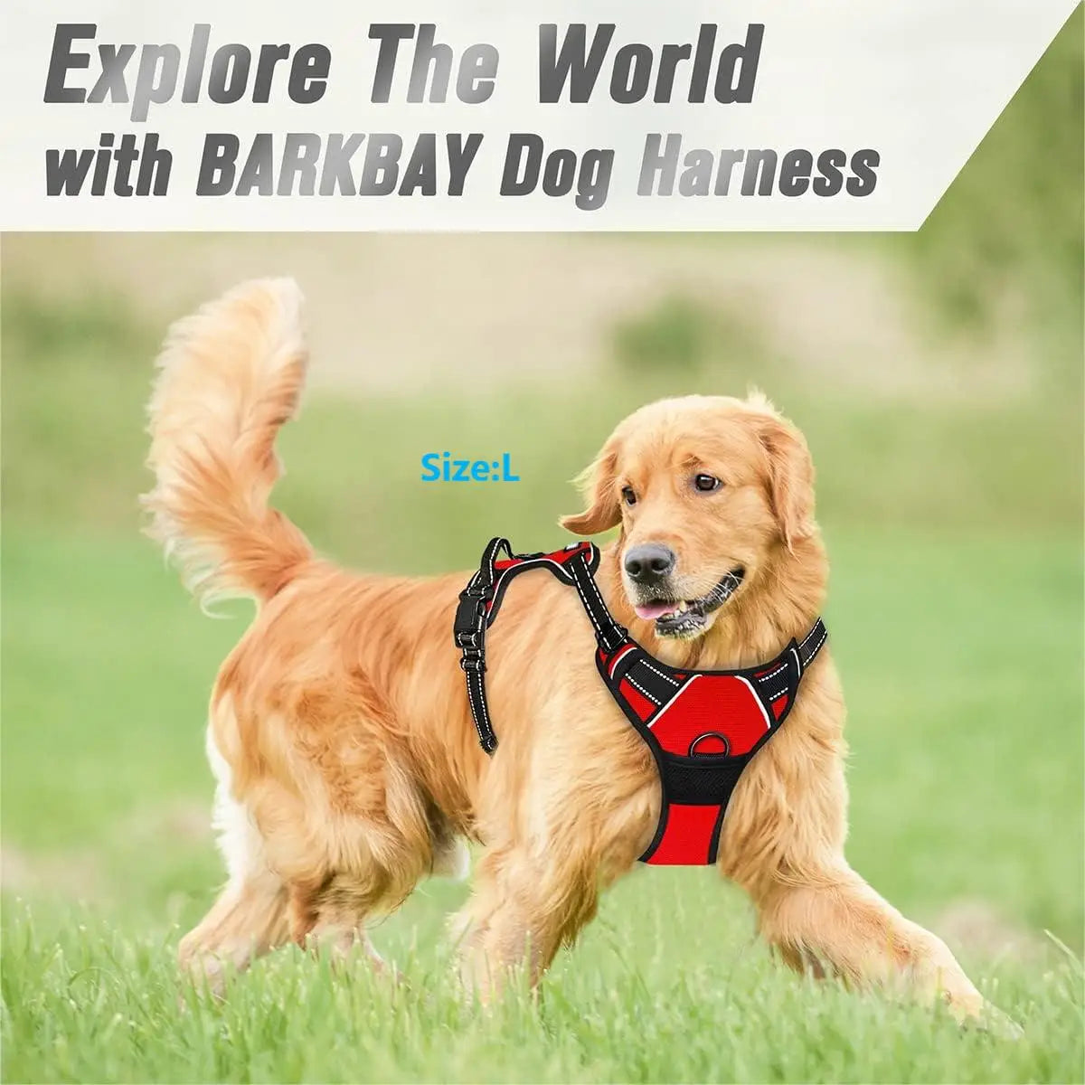Reflective No Pull Dog Harness Front Clip Heavy Duty Handle