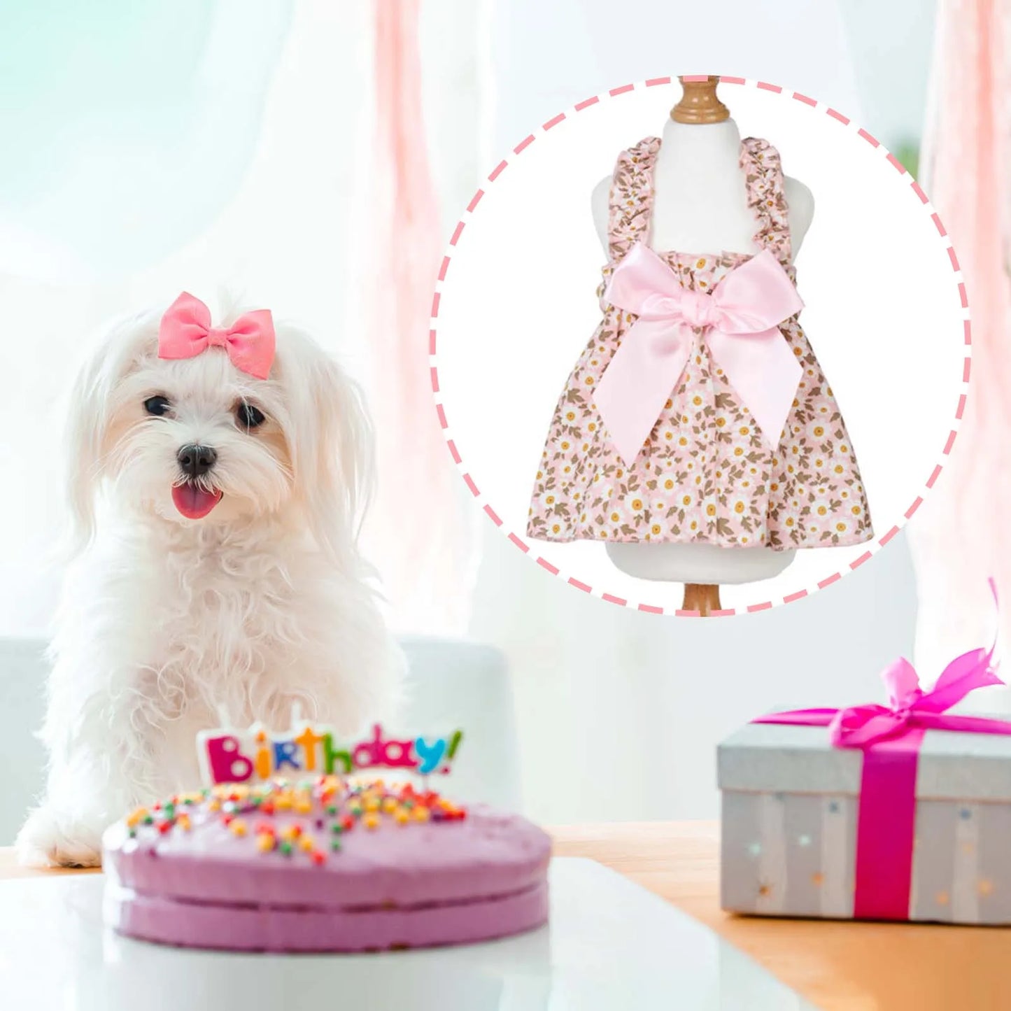 Cat Skirt Dress With Floral Print For Small Pets Collection