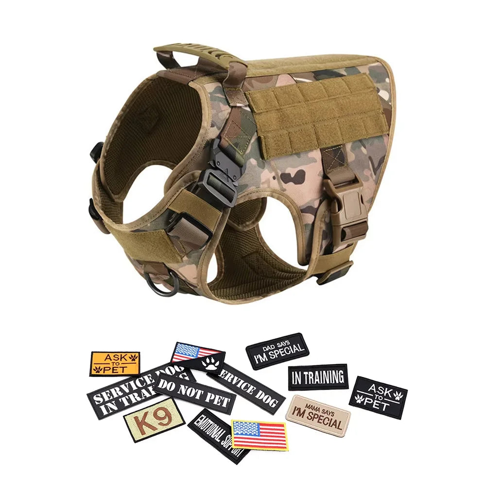 Military Tactical Malinois Harness Vest Set With Leash Patches - Paws and Pro's Outfitters