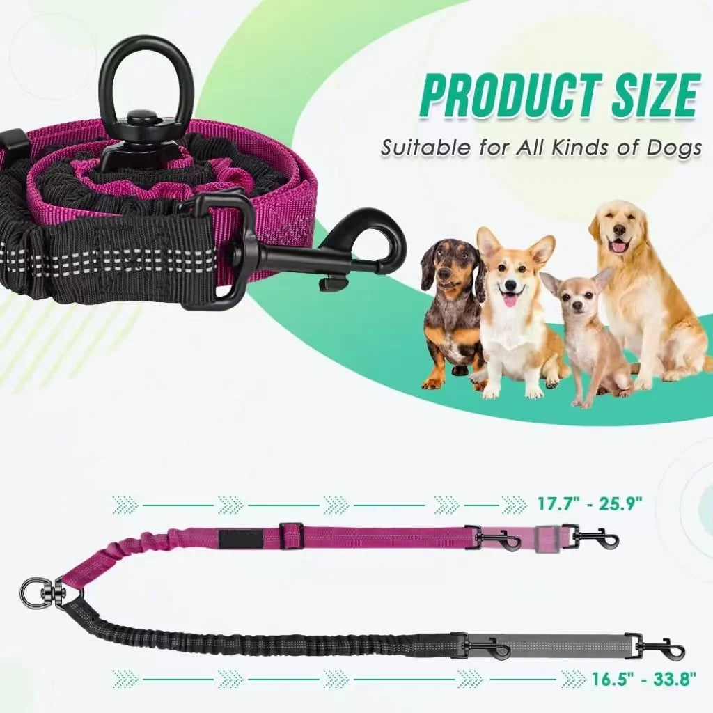 Double Dog Leash Attachment Shock Absorbing Bungee