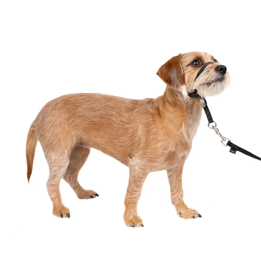 Gentle Leader Headcollar No Pull Dog Collar For Gentle Training
