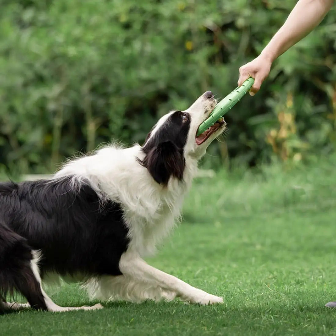 EVA Flying Disc Dog Training Toy For Outdoor Interactive Play