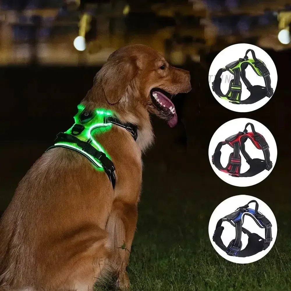 LED Light Up Dog Harness With Adjustable Rechargeable Battery