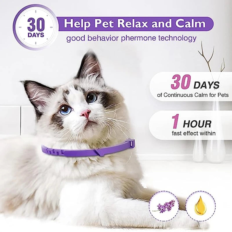 Dog Cat Calming Collar For Anxiety Relief Breakaway Quick Release
