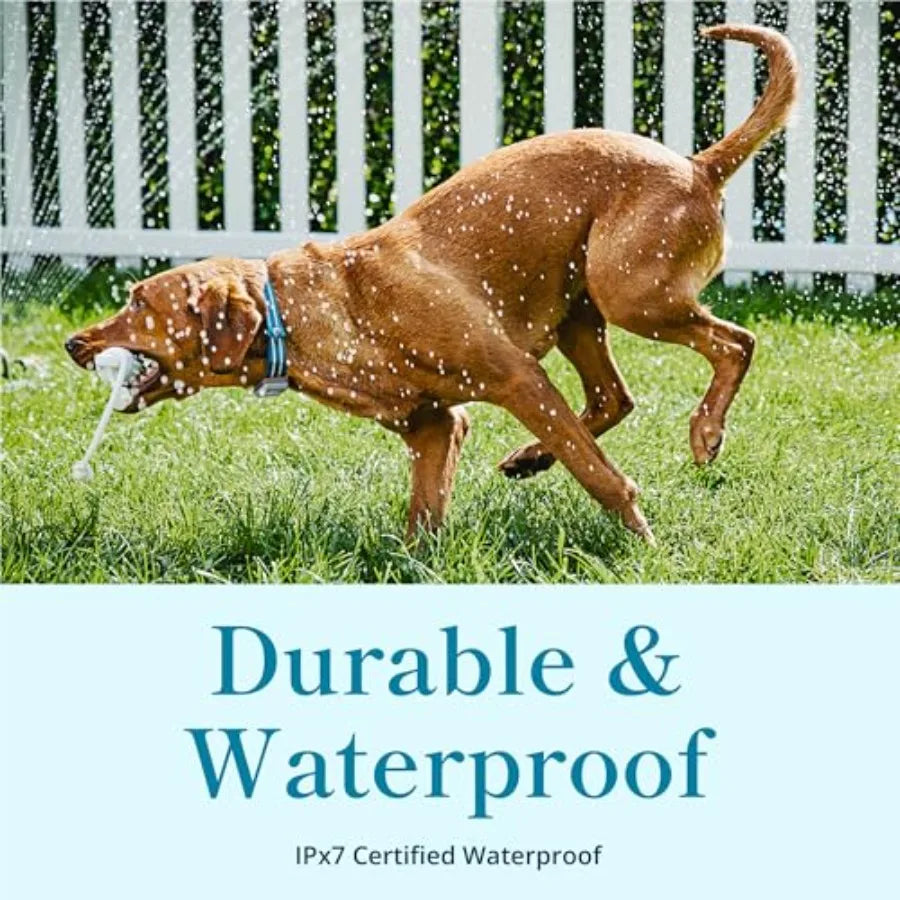 Purina Dog GPS Tracker Waterproof Real-Time Tracking Collar