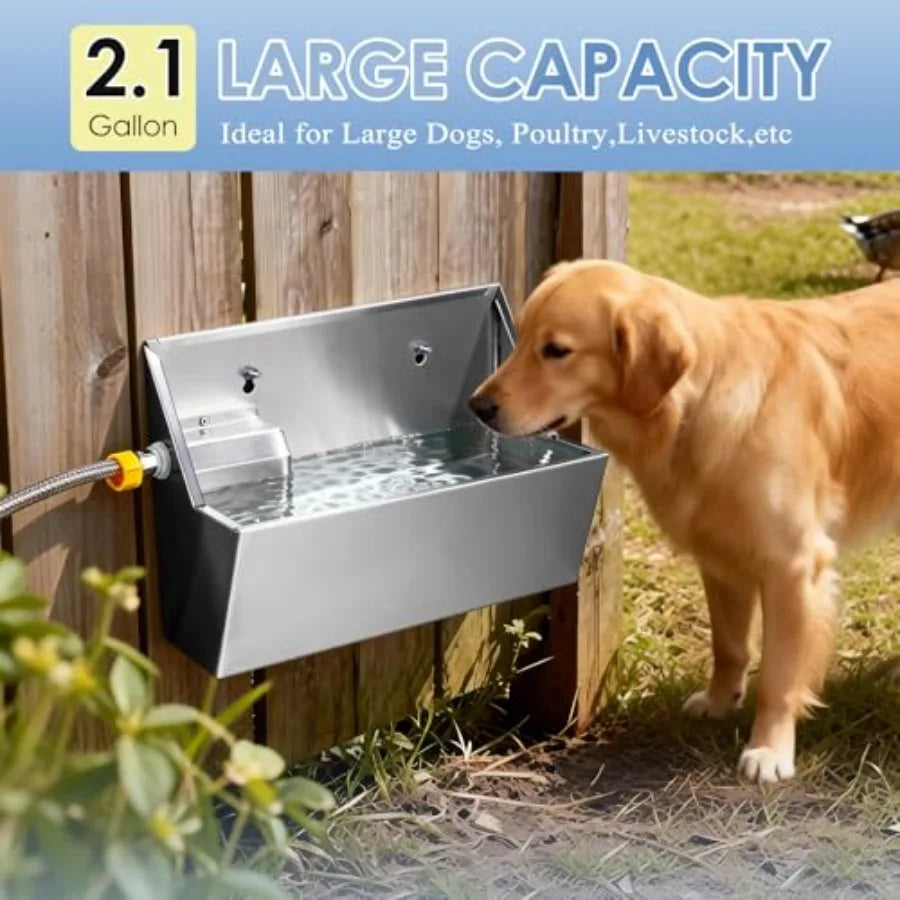Automatic Water Dispenser For Large Dogs Auto Waterer