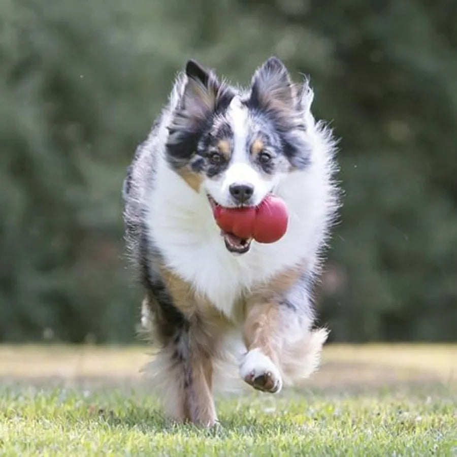 Classic Stuffable Dog Toy For Fetch And Chew Treat Filling