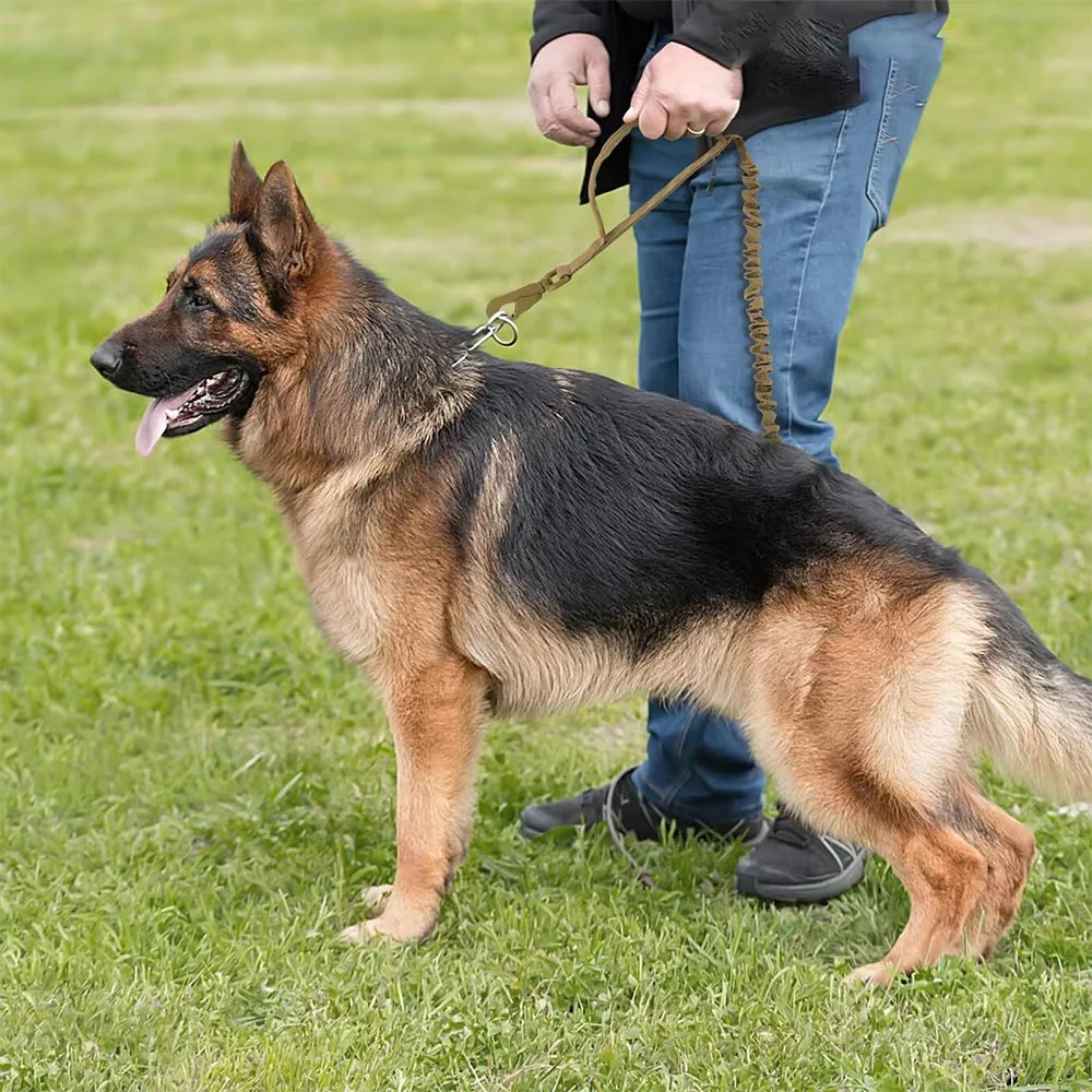 Adjustable Tactical Dog Leash With Dual Handles From Military Grade Nylon
