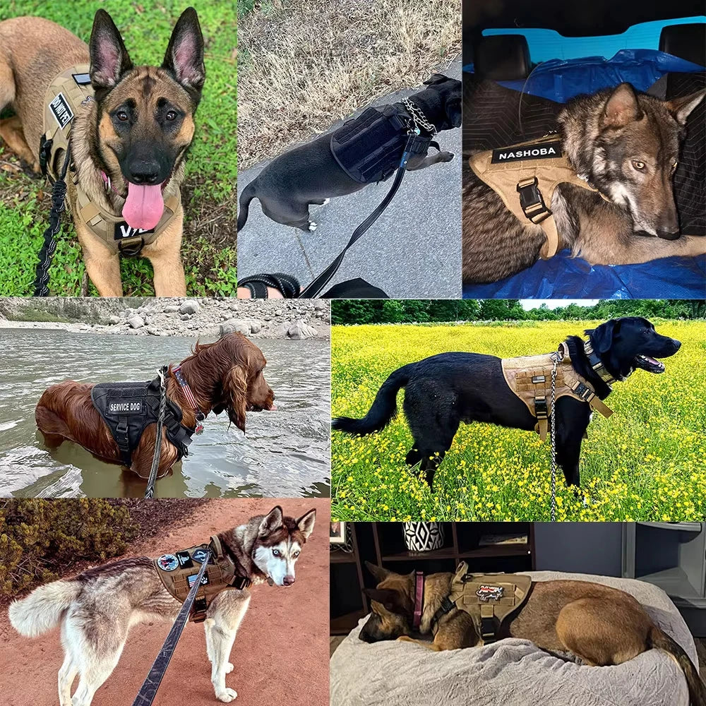 Military Tactical Malinois Harness Vest Set With Leash Patches - Paws and Pro's Outfitters