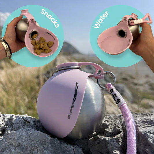 Portable Outdoor Pet Water Bottle With Bowl Stainless Steel 304