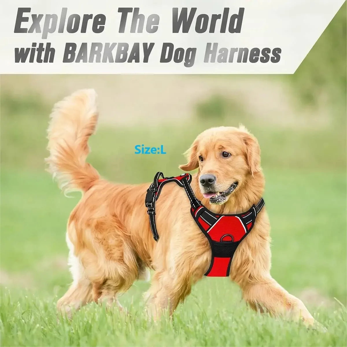 Leather Dog Collar Harness Leash Set For All Breeds