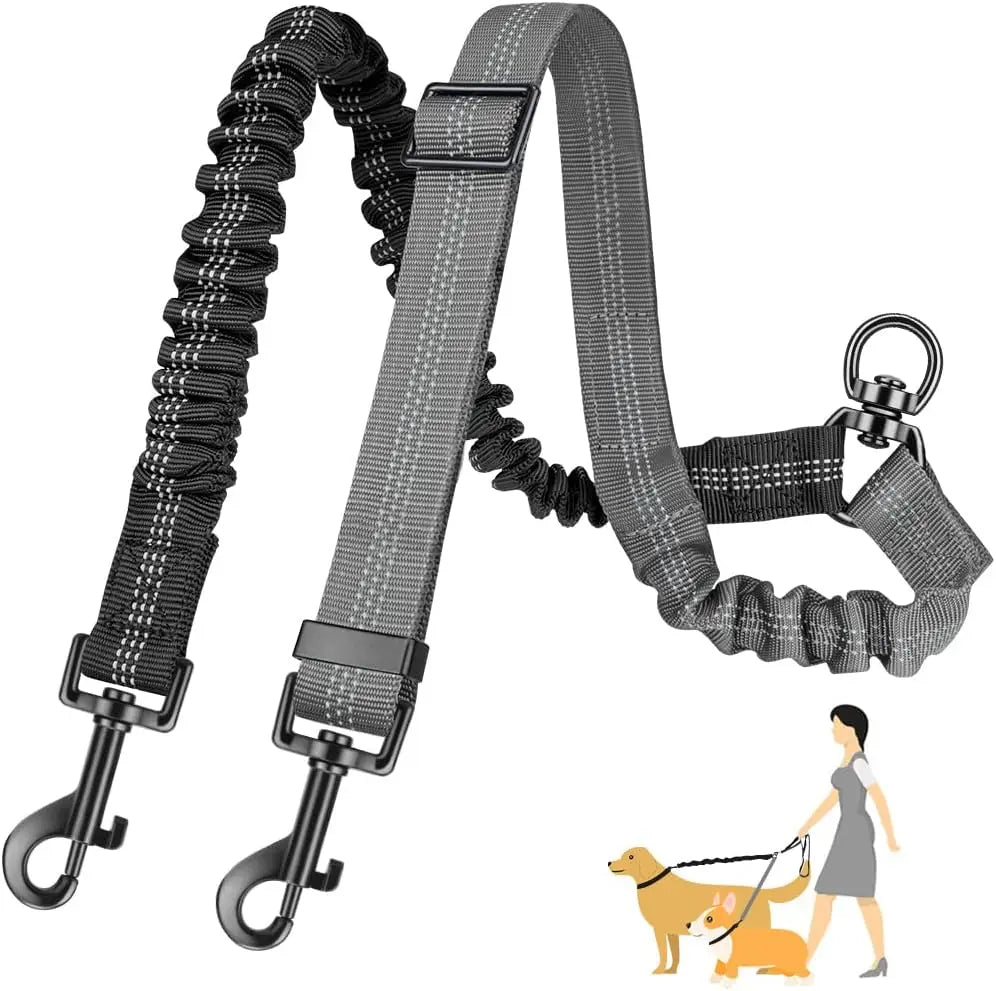 Double Dog Leash Attachment Shock Absorbing Bungee