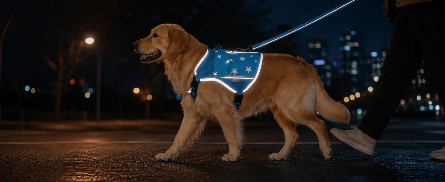 Pet Dog Cooling Vest Harness With Frozen Packs