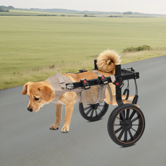 Pet Walking Aid Two-Wheel Dog Wheelchair for Hind-Leg Support