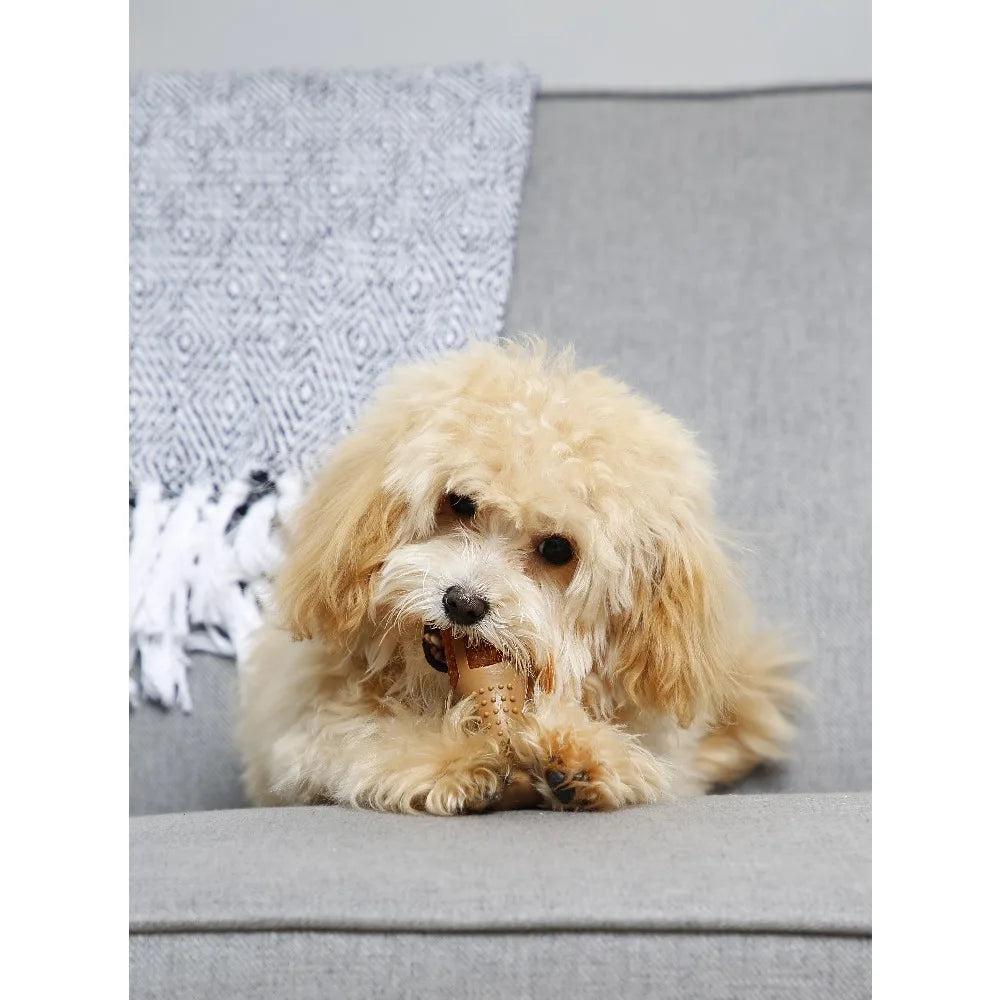 Nylon Bone Dog Chew Toy For Puppies And Small Dogs