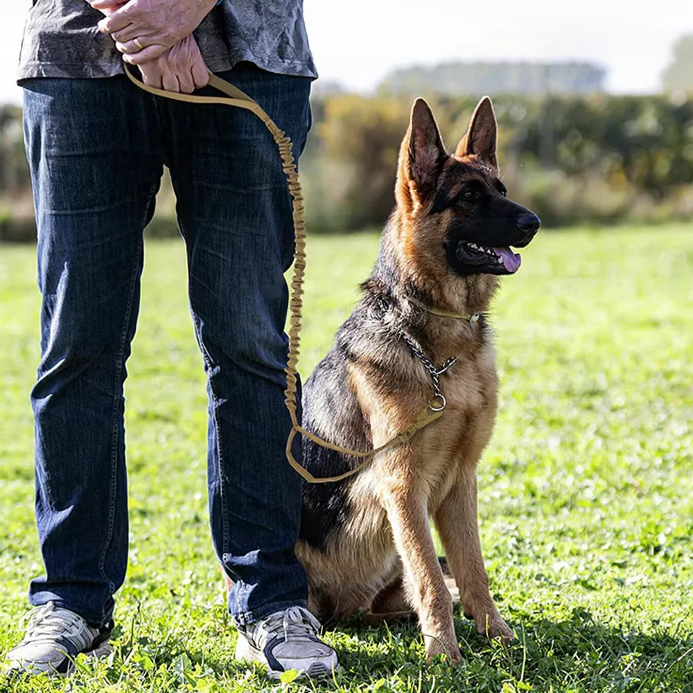 Adjustable Tactical Dog Leash With Dual Handles From Military Grade Nylon