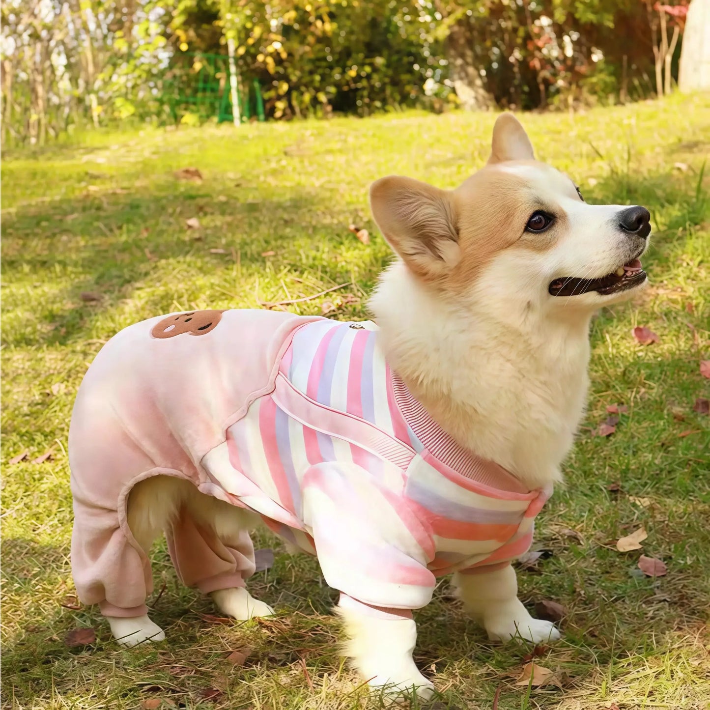 Caiban Autumn Winter Dog Fleece Jumpsuit Coat With Leash Ring