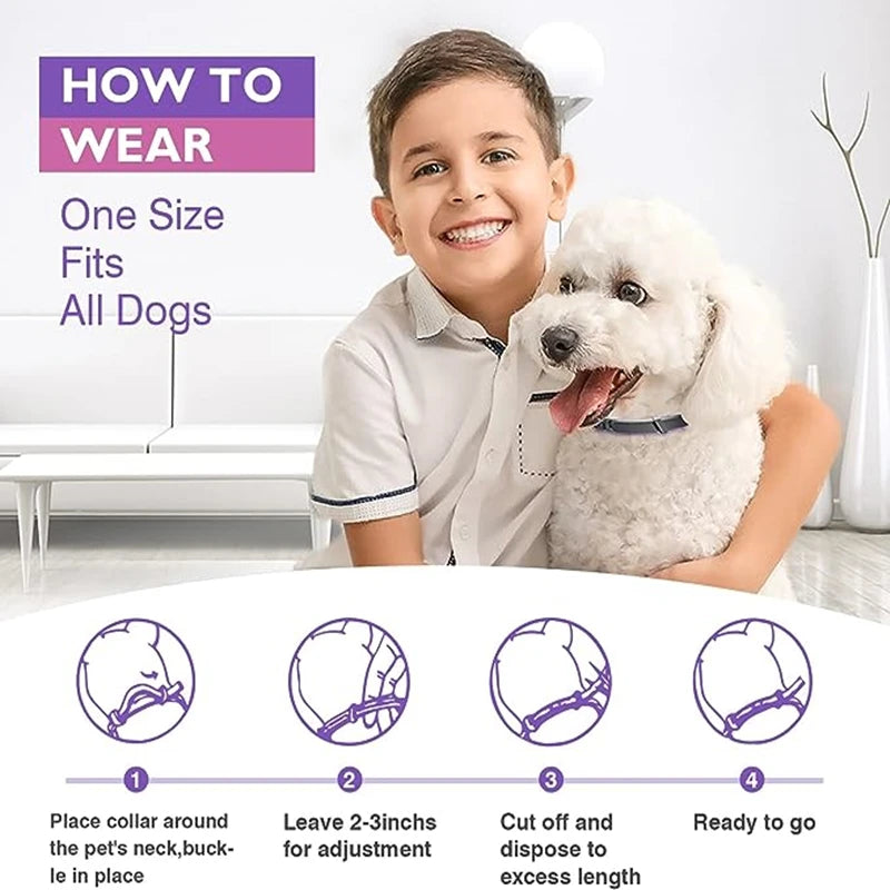 Dog Cat Calming Collar For Anxiety Relief Breakaway Quick Release