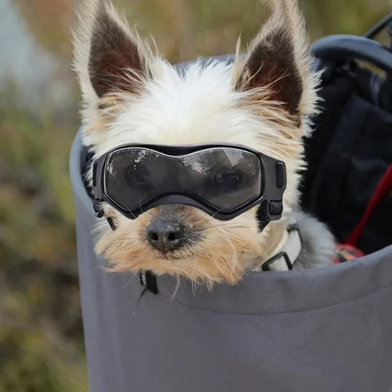 UV Protective Dog And Cat Goggles Eyewear For Outdoor Pets