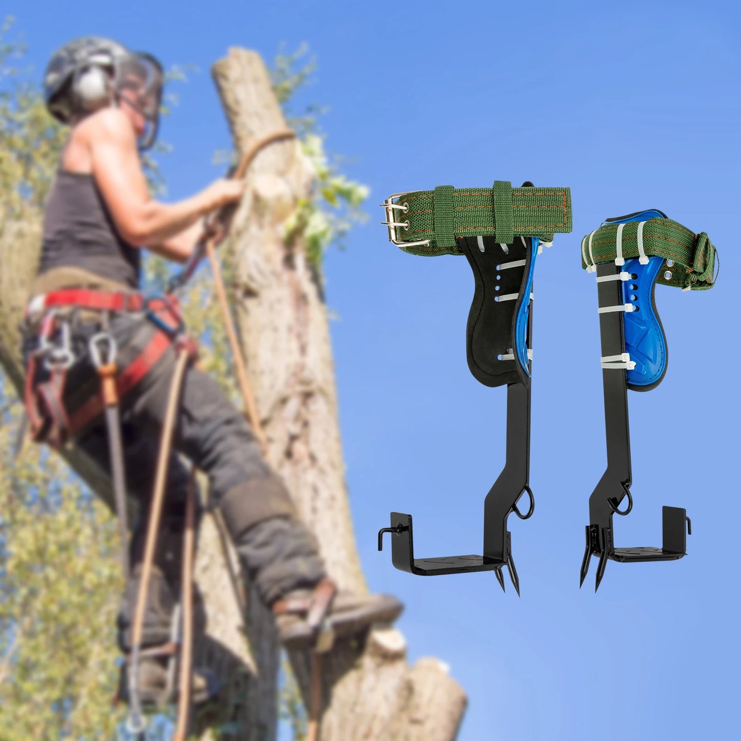 Professional Tree Climbing Spikes Kit With Safety Harness Capacity 220lbs