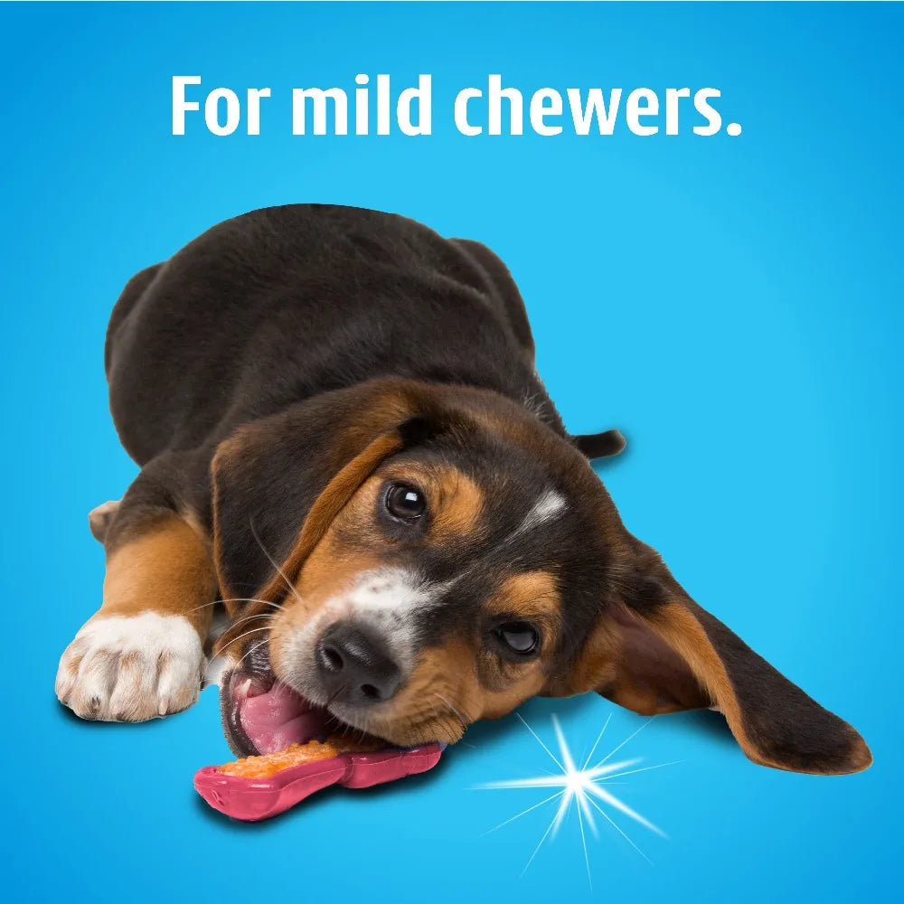 Durable Nylon Dog Chew Toy For Aggressive Chewers Dental Cleaning Bacon Flavor