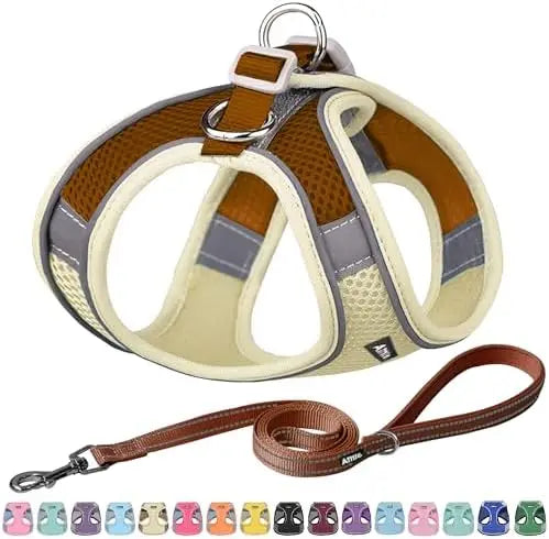 YTYIN Adjustable Dog Harness And Leash Set For Pets