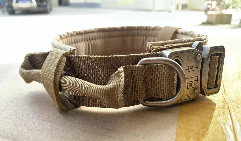 Dog Training Collar And Leash Set With Adjustable Control Handle