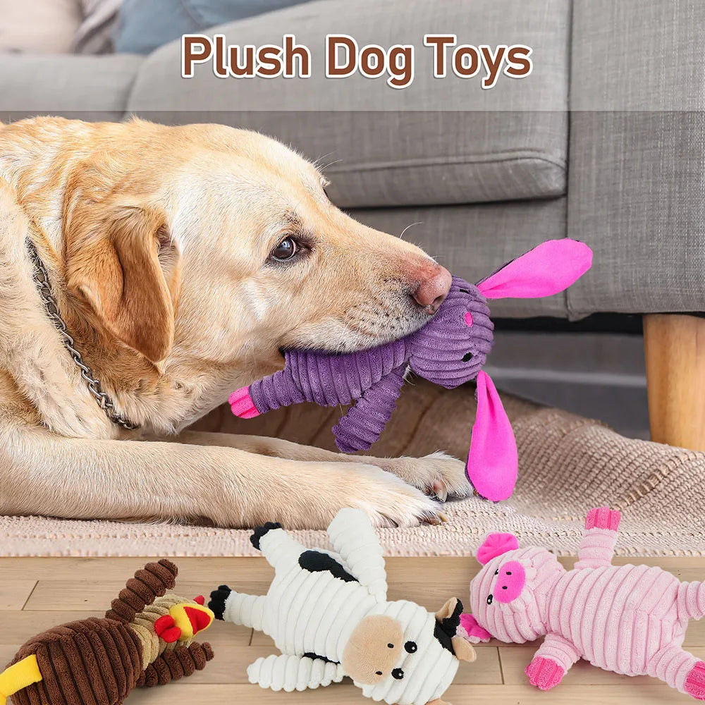 5 Pack Plush Squeaky Dog Toys Chew Bundle Value Collection