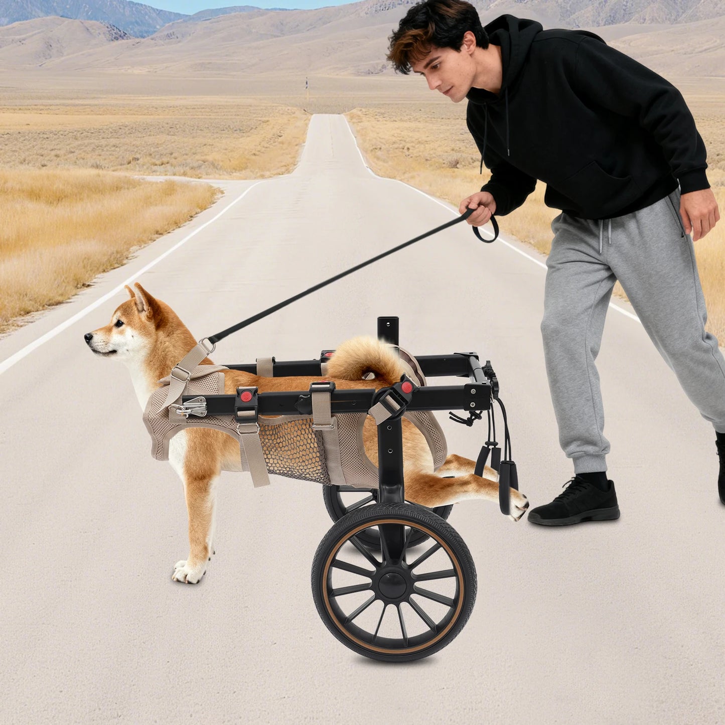 Pet Walking Aid Two-Wheel Dog Wheelchair for Hind-Leg Support