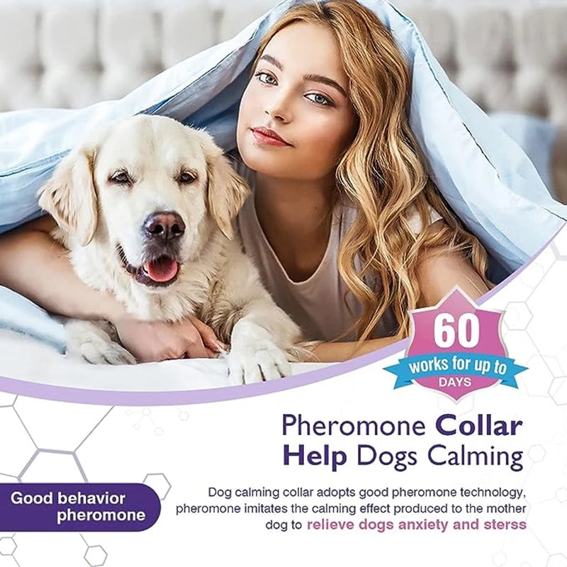 Dog Cat Calming Collar For Anxiety Relief Breakaway Quick Release
