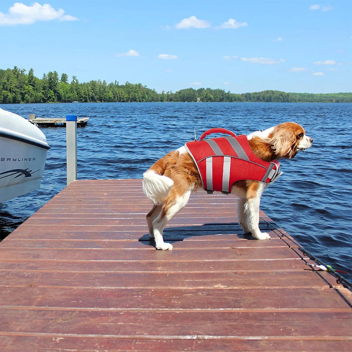 Premium Waterproof Dog Life Jacket With Reflective Stripes