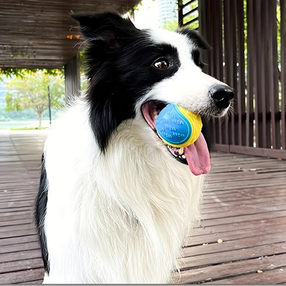 Durable Dog Ball Toy for Chewing and Interactive Play
