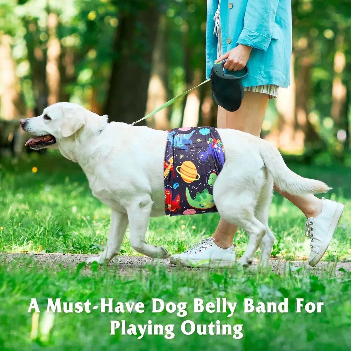 Premium Male Dog Belly Bands Reusable Leak Proof 5 Pack