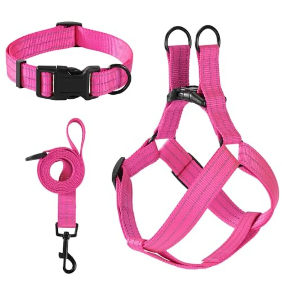 Night Nylon Double Adjustable Puppy Harness Collar Leash Set