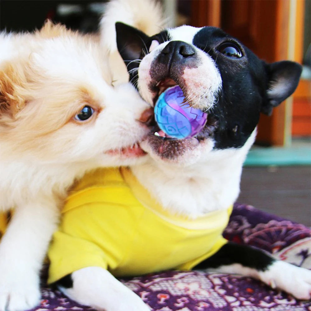 Dogs Squeaky Ball Toy Natural Rubber Chew For Outdoor Play