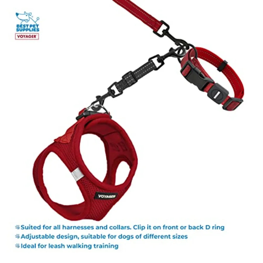 Dog Collar Safety Clip With Dual Clasps For Training